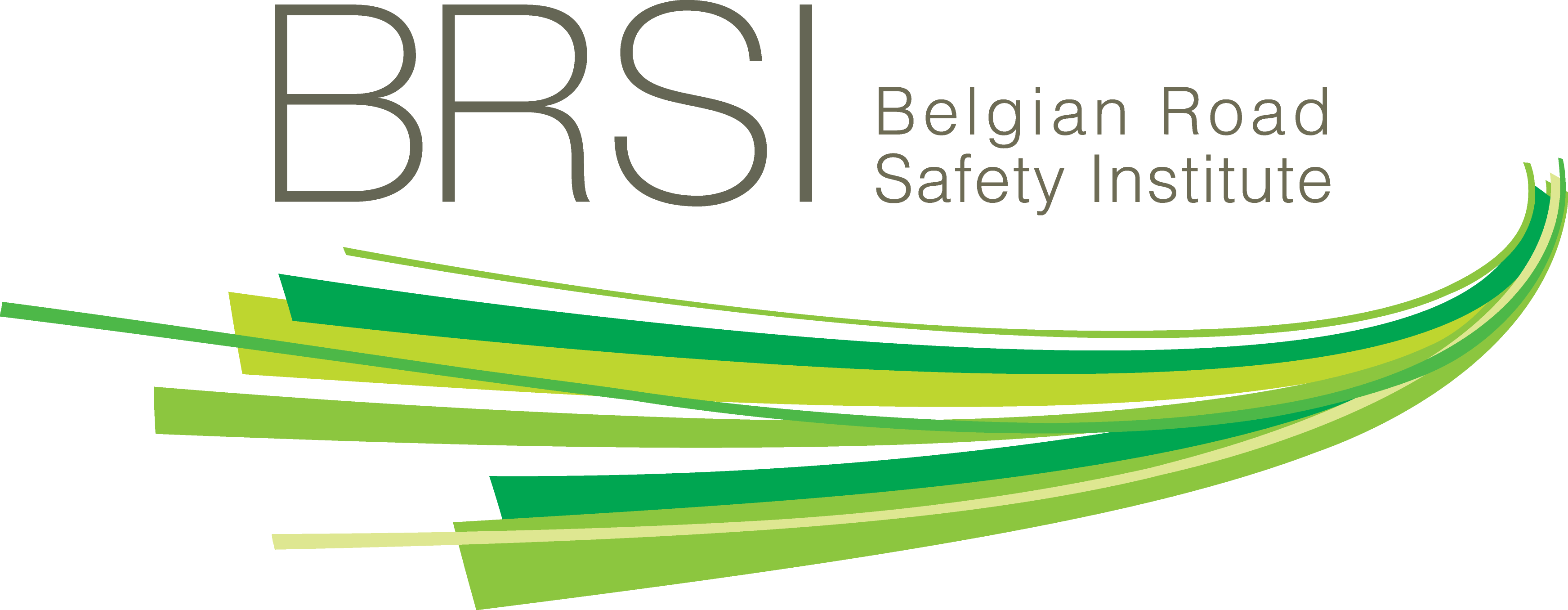 BRSI – SafetyCube Project